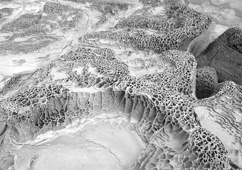 Geleceği Duymaya Hazır mısınız?