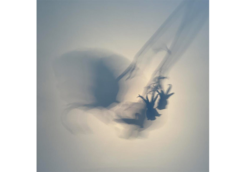 Larry Muñoz “Graceful Elegant Beasts” Sergisiyle Zilberman’da
