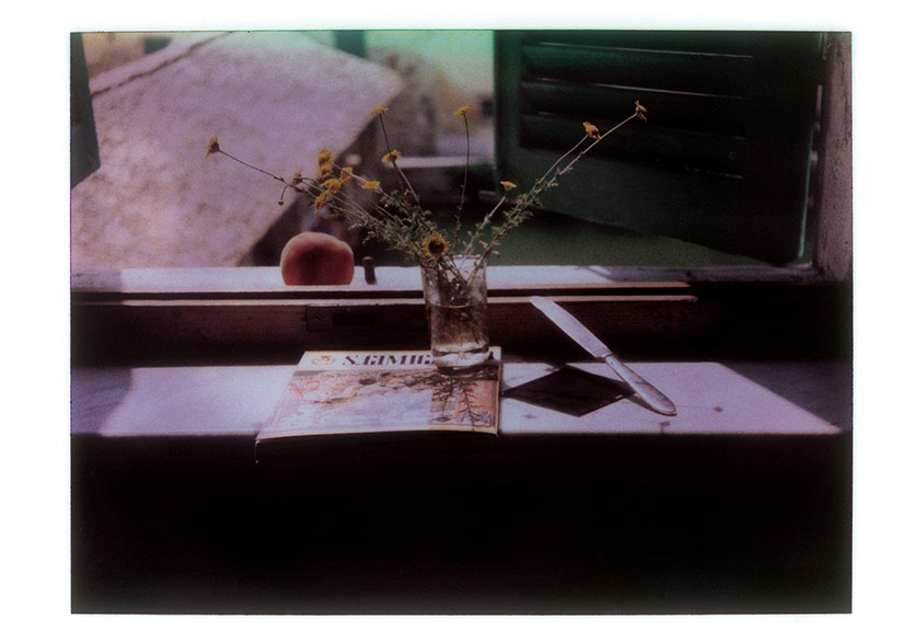 Tarkovsky’nin Polaroidleri Satışa Çıktı