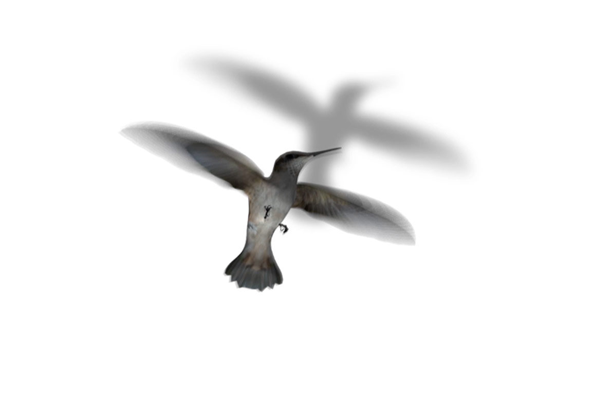 42 Maslak Art!SPACE Gallery’de Şimdiki Zaman