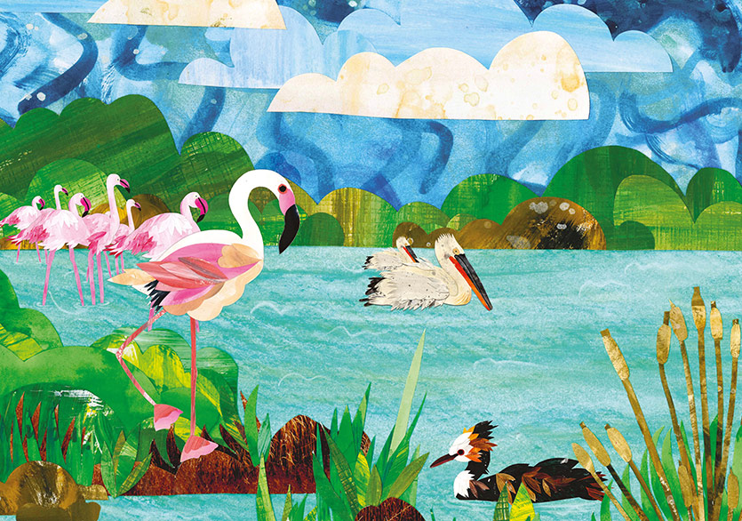 Yalıçapkını Olmak Neye Benzer?