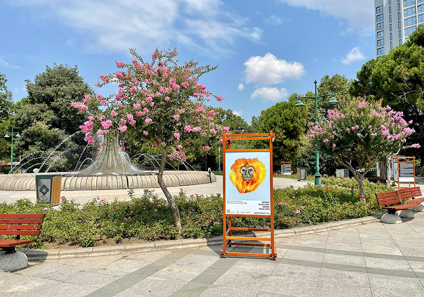 Sencer Vardarman’ın “Gözlerime Bak” Projesi Berlin’de