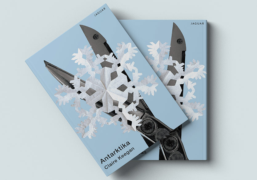 Claire Keegan’ın Öyküleri: “Antarktika”