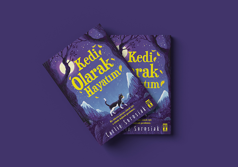 Bir Kedinin Gözünden Yuvanın Önemi