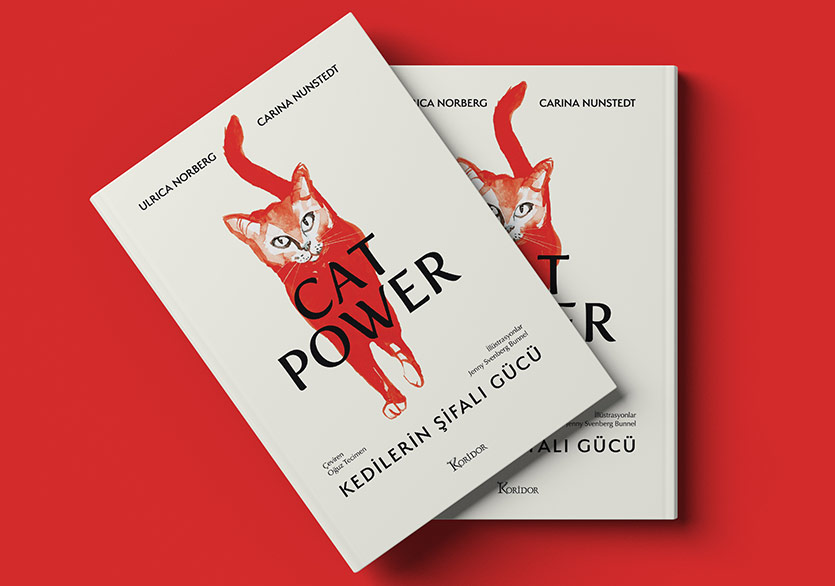 Kedilerin Şifalı Gücü: “Cat Power”