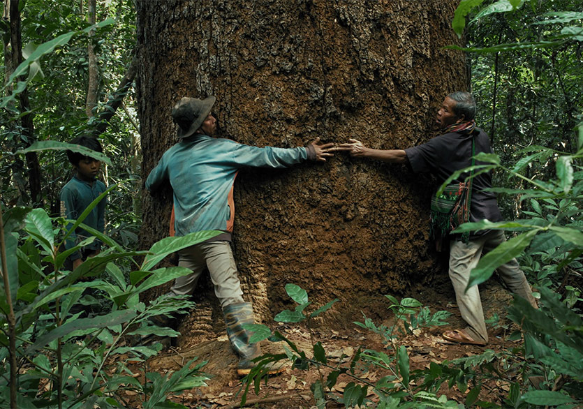 İstanbul Modern Sinema’dan Yeni Program: “Muson Hayalleri”