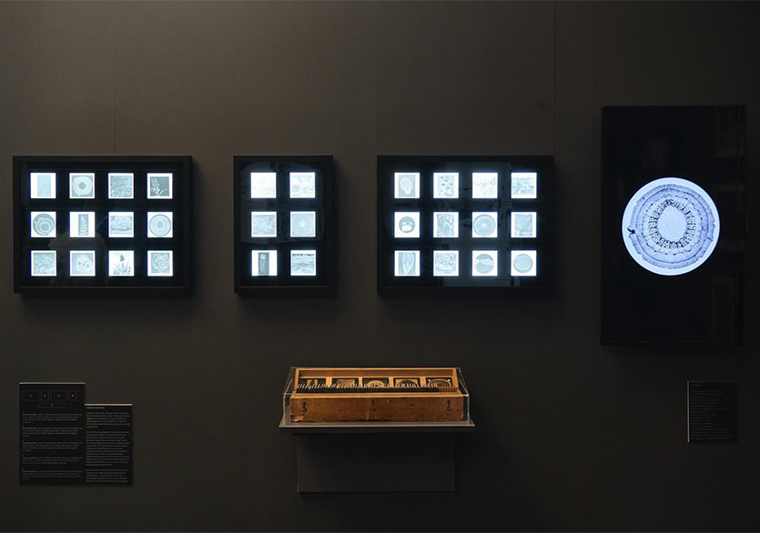 Kaan Kemal Öner’in İlk Kişisel Sergisi “Gökyüzünün Karnında(n)” Quick Art Space’te