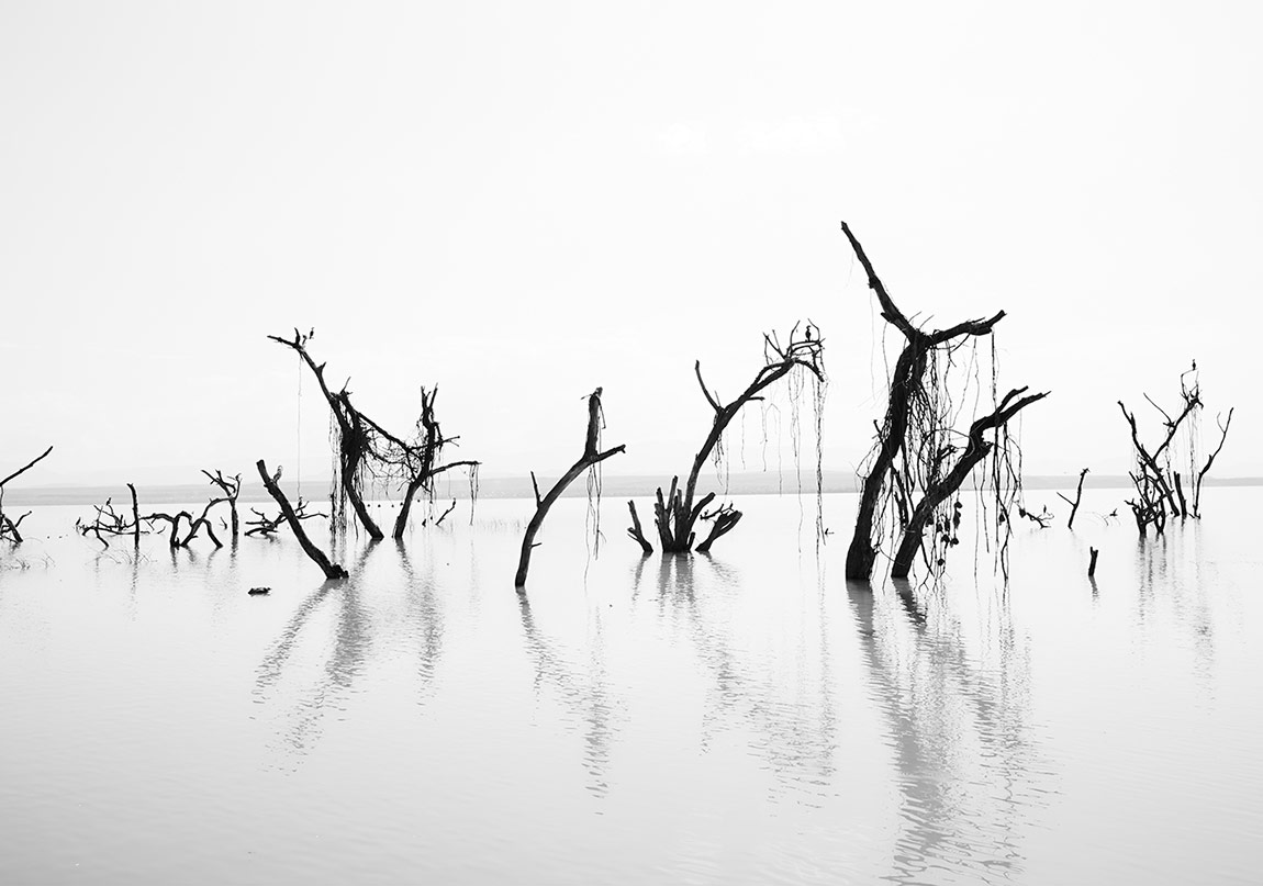 Kullandığımız Kelimelerin 1300 Yıllık Tarihi