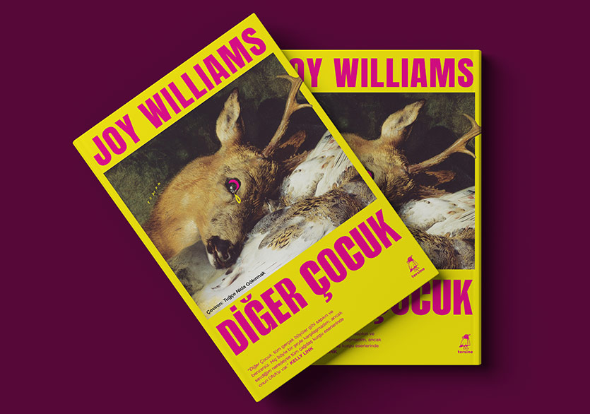 Joy Williams’ın “Diğer Çocuk”u Türkçede