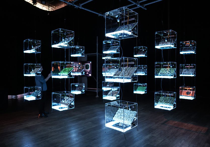 Uluslararası Medya Sanatı Festivali “Ars Electronica” Başladı