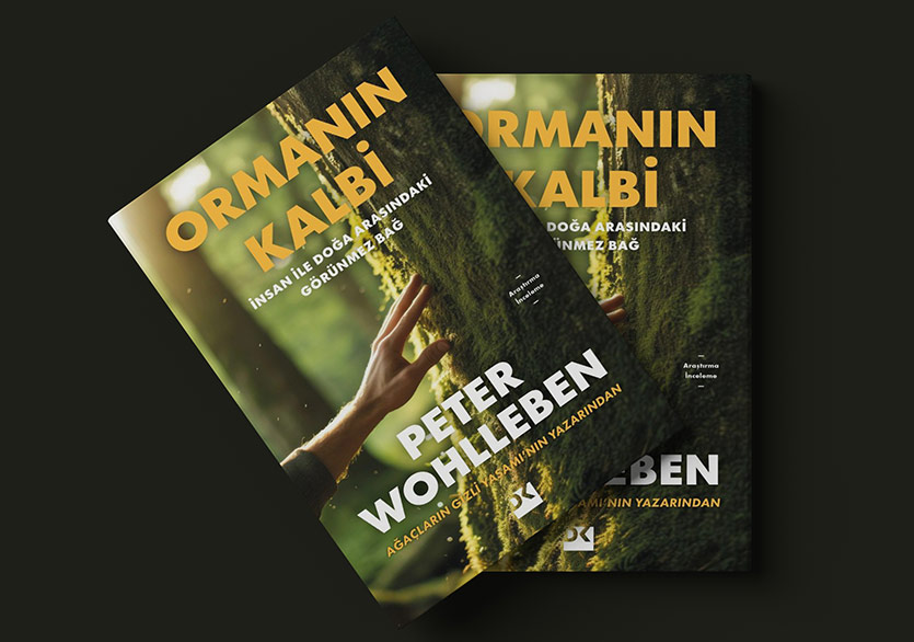 İnsan ile Doğa Arasındaki Görünmez Bağ: “Ormanın Kalbi”