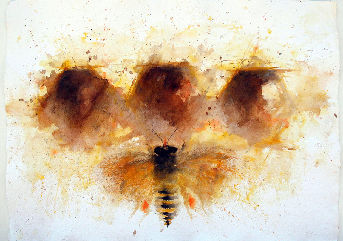 Yaşam Kaynağı Arılar