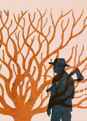 Dolaşıklığın Poetikasını Yazmak: “Miras Toprak”