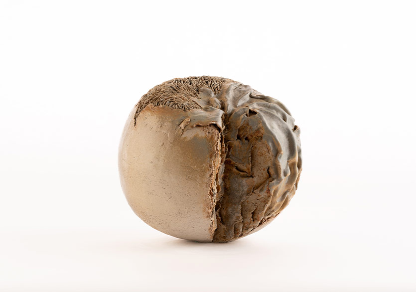 Galerist ve Galeri Nev’den İş Birliği: “Kayada Büyüdüm Ben”