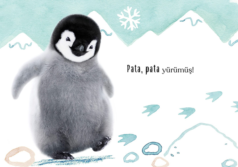 “Mini Hayvan Masalları” Serisi Minik Penguen ile Devam Ediyor