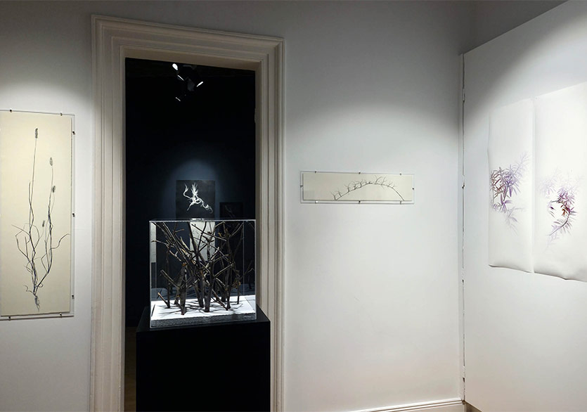 Arzu Arbak ile Aslıhan Kaplan Bayrak’ın “Derin Salınımlar, Sessiz Yankılar” Labirent Sanat’ta