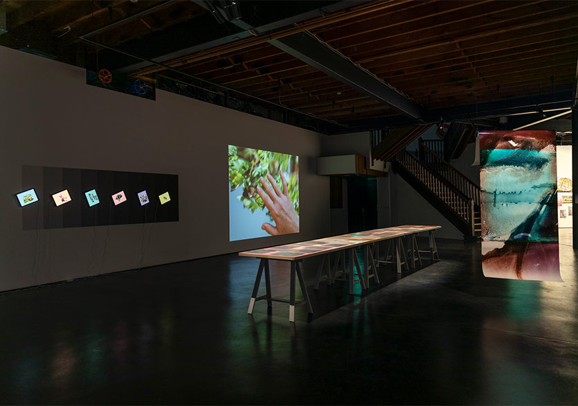 KASA Galeri’den Yeni Sergi: “Symbolic Vault: Entanglements of Human, Nature, Machine”