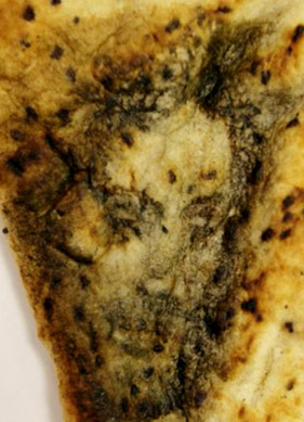 Bulutları Seyrederken Yaşanan Eşsiz Bir Deneyim: Apophenia