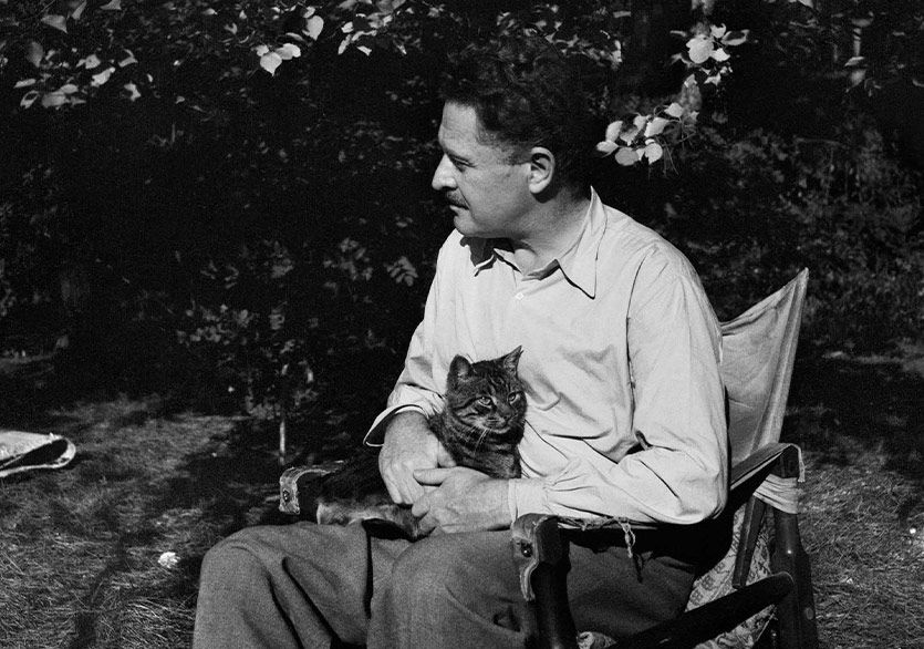 Nâzım Hikmet’in Kapsamlı Sergisi “Romantika” İzmir’de 
