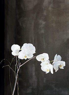 Kaotik Bir Söyleşi