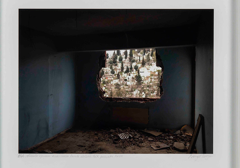 Bu Çılgın Realiteden Çıkış Nerede?