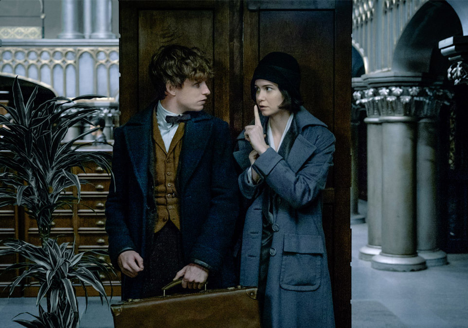 Harry Potter Spin-Off’larının Akıbeti Belli Oldu