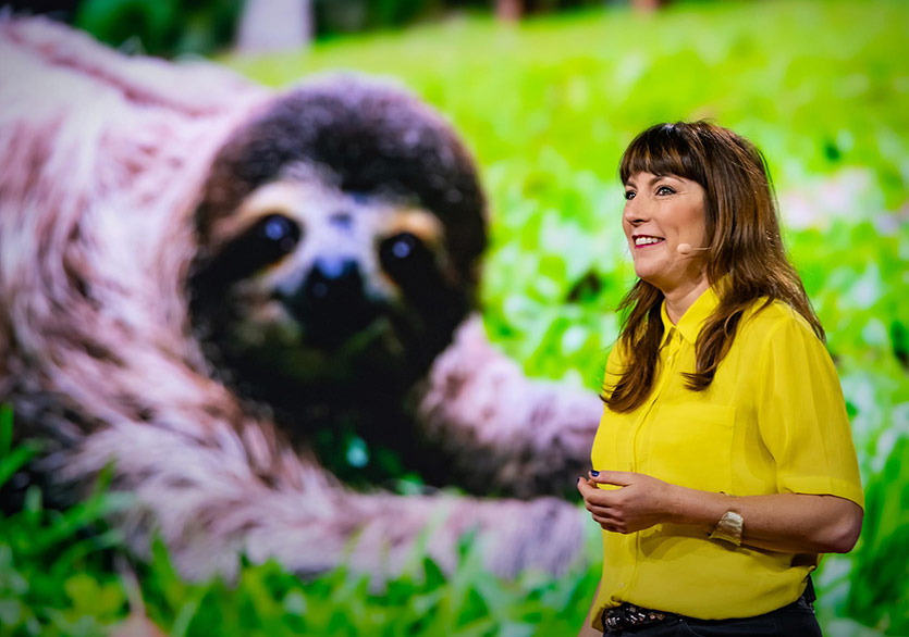 Hayvanlar Âleminden Uygunsuz Gerçekler