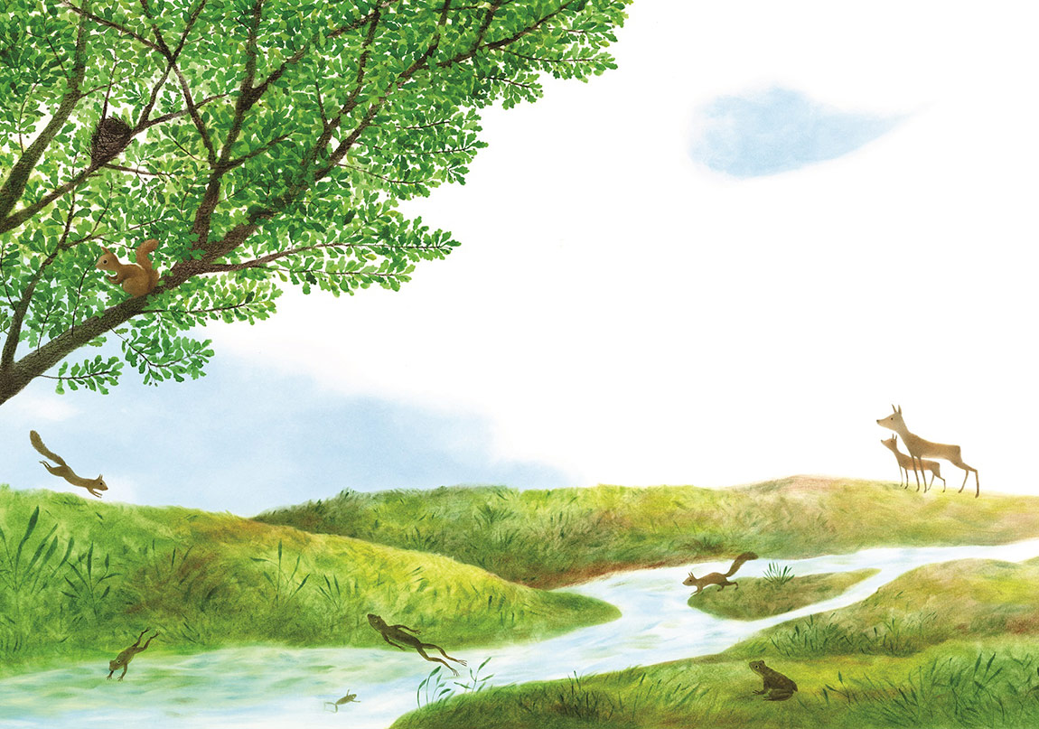 Şehrin Ortasında Bir Doğa Öyküsü