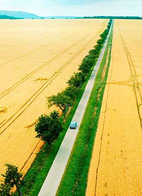 Geri Dönüşü Olmayan Bir Yol Hikayesi