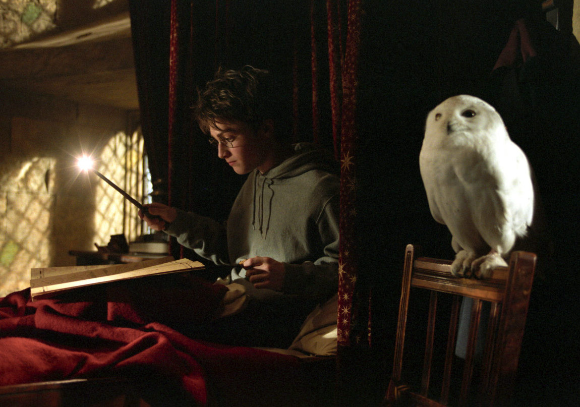 Harry Potter’ın Edebiyattaki ve Mitolojideki Akrabaları