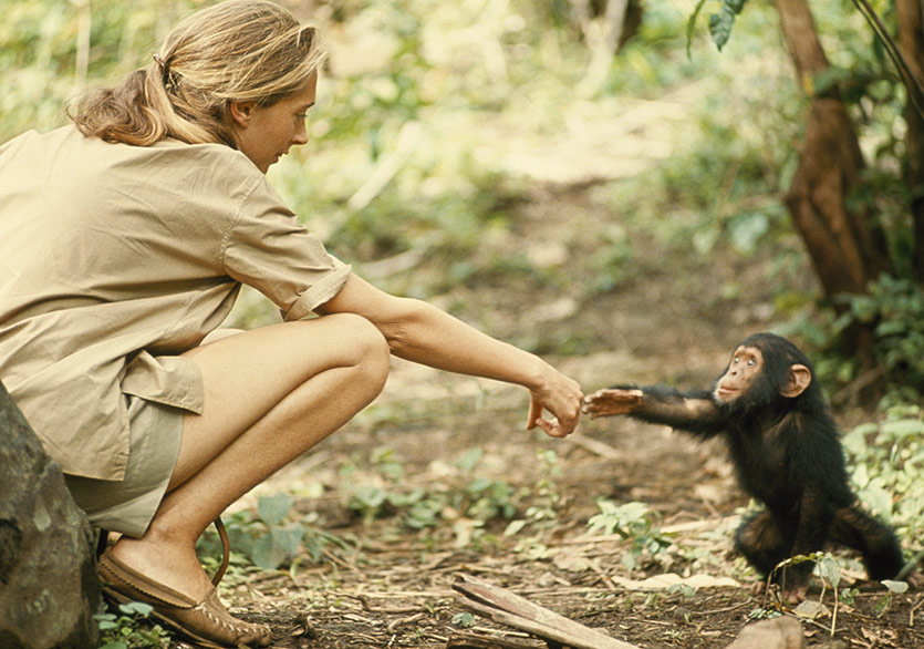 Jane Goodall’dan İnsana ve Doğaya Dair: “Umudun Kitabı”