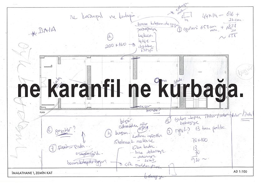 Banu Cennetoğlu “ne karanfil ne kurbağa.” Sergisiyle İMALAT-HANE’de