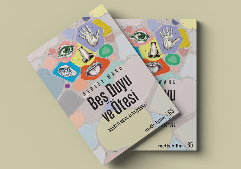 Dünyayı Nasıl Algılıyoruz?