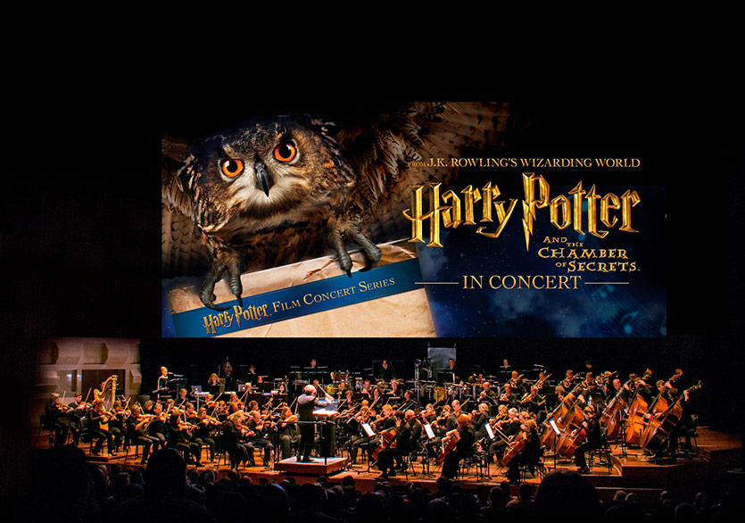 Orkestra Eşliğinde Harry Potter’ın Büyülü Dünyası