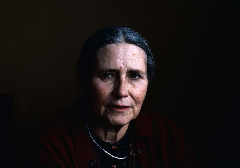 Doris Lessing’den Bir Gerilim Başyapıtı: Beşinci Çocuk