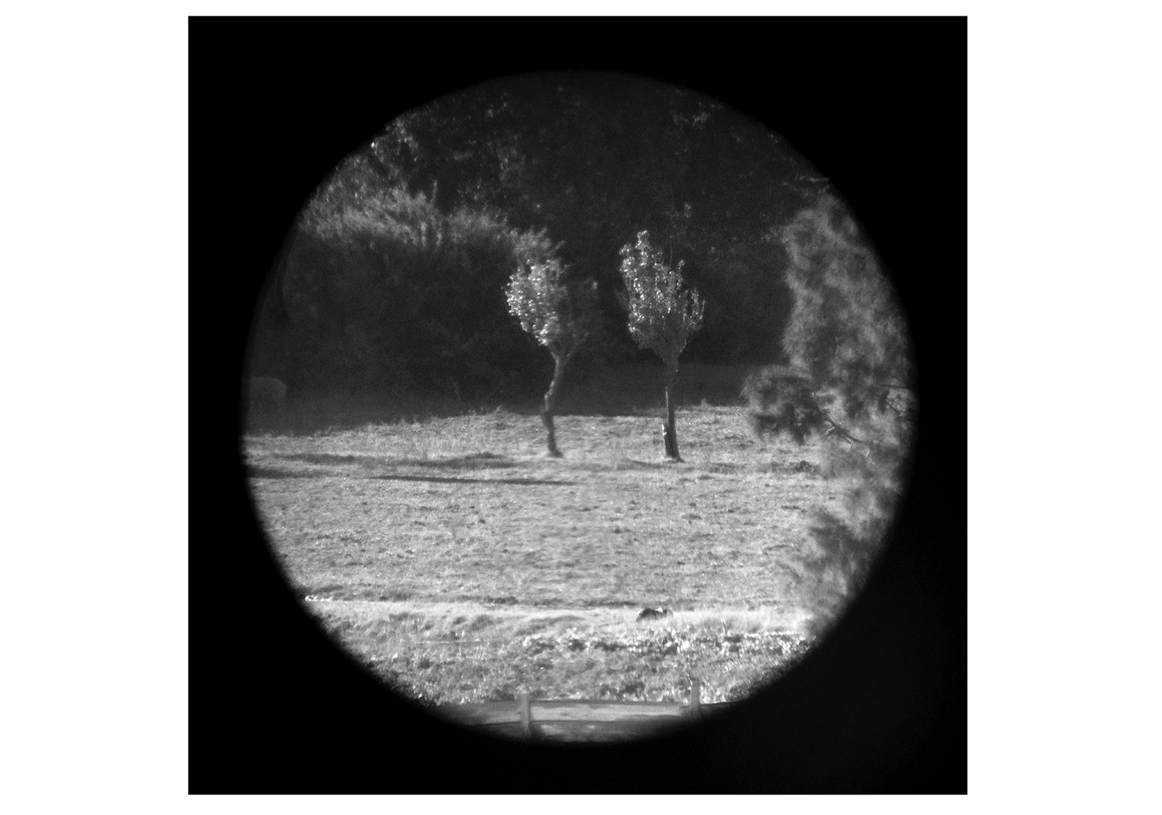 Zilberman Yazı İki Yeni Sergiyle Karşılıyor