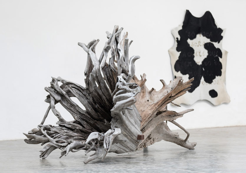 Brezilya’da Ai Weiwei Esintisi
