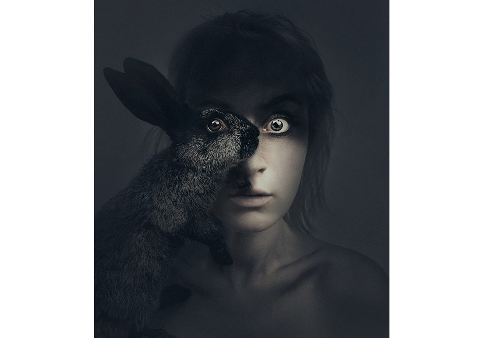 Suratınızın Yarısını Bir Hayvanla Paylaşmaya Ne Dersiniz?