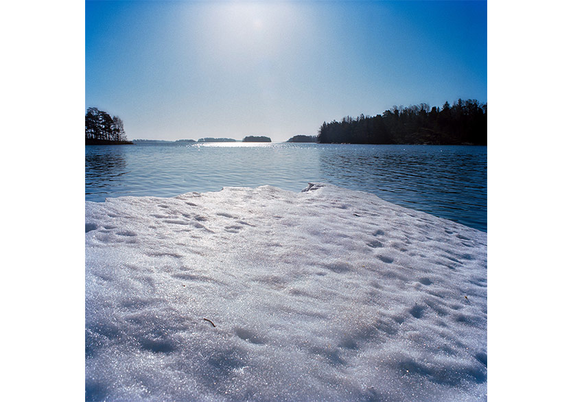 Antti Laitinen’in “Coalescing with Nature” Sergisi Zarastro Art’ta