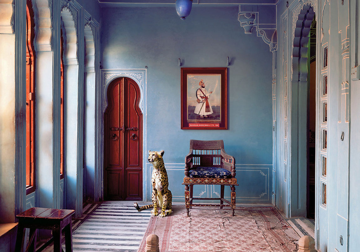 Egzotik Hayvanların Mistik Mekânlara Bakışı