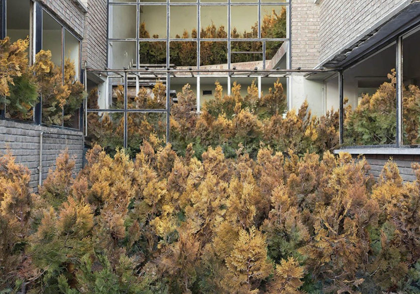 Terkedilmiş İran Evlerinin Kaderi