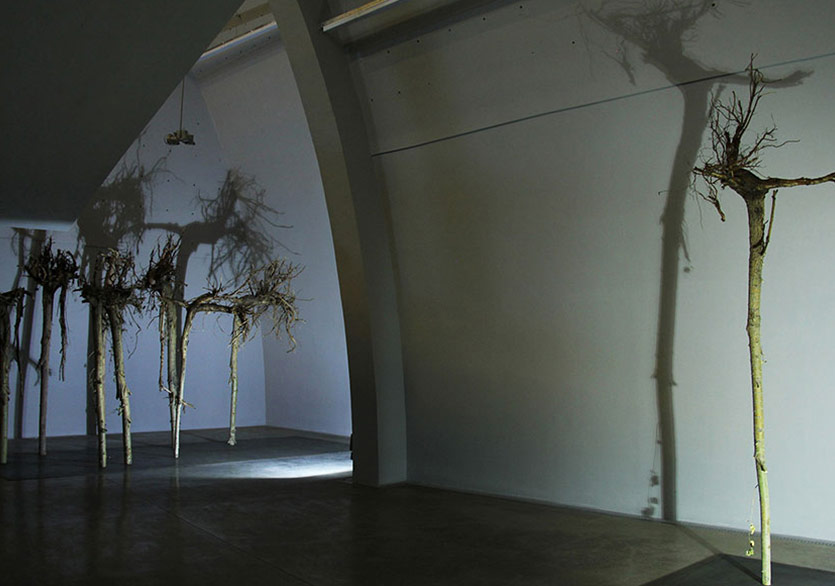 “Ayağımdaki Diken” ile Geçmişe Yolculuk