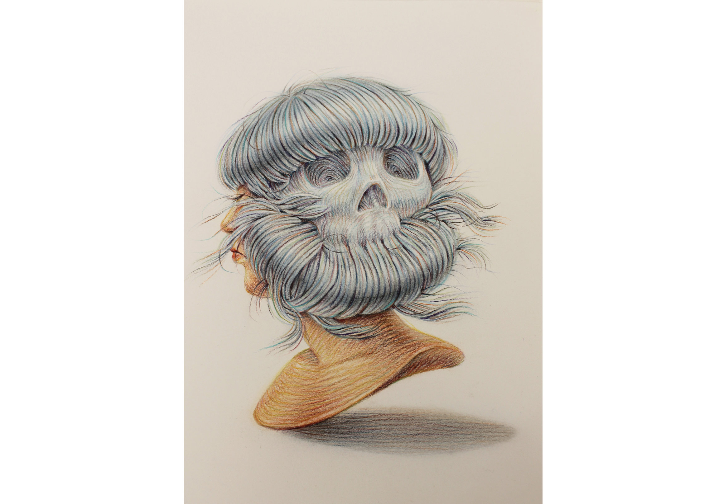 İllüstrasyonlara İlham Veren Saçlar