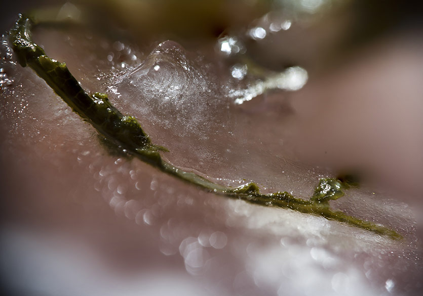 Boyutsuzluk ve Ölçeklilik Üzerine