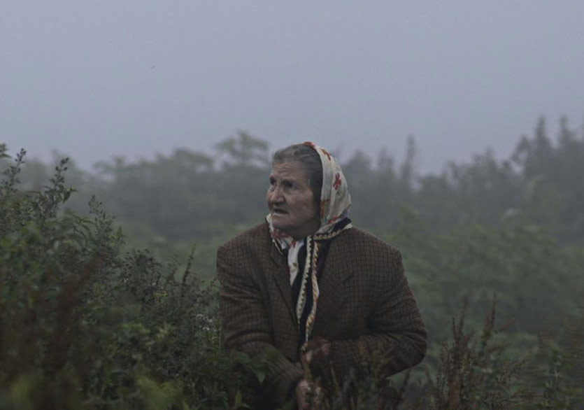 Kalandar Soğuğu Oscar Aday Adayı
