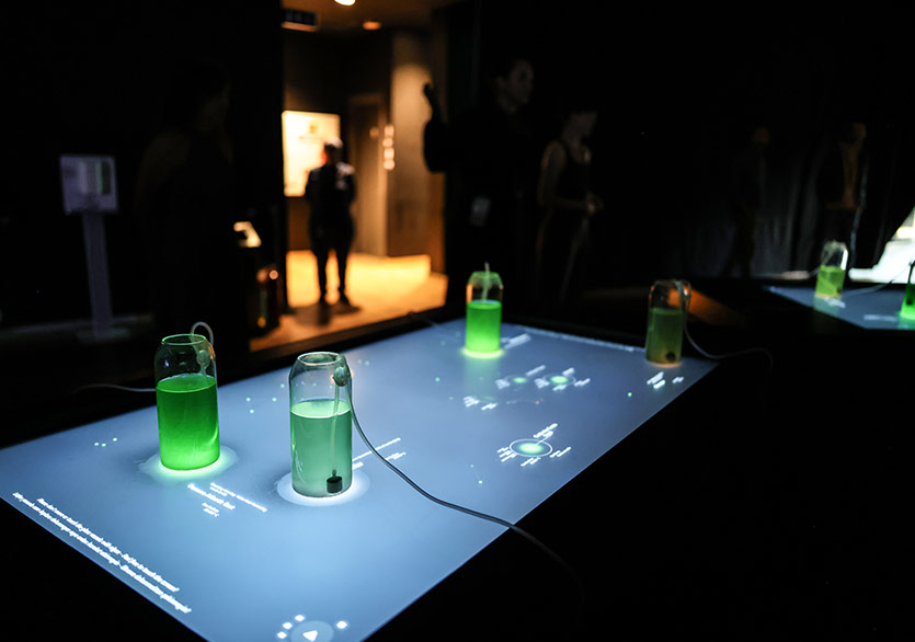 Uluslararası Medya Sanatı Festivali “Ars Electronica” Başladı