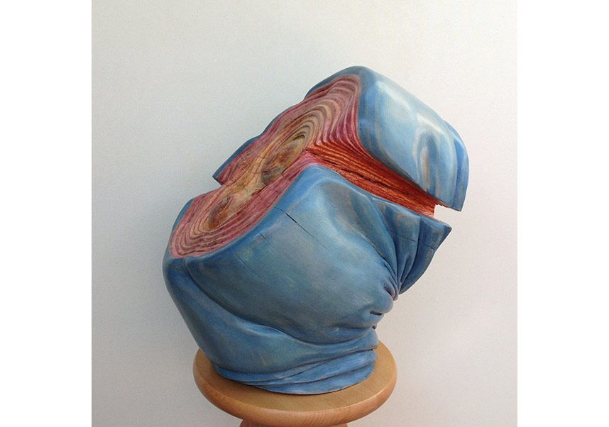 Ahşabın Bilinmeyen Hikayesi