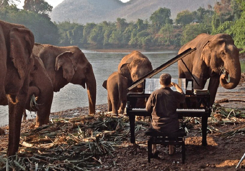 Paul Barton'dan Filler İçin Klasik Müzik Dinletisi