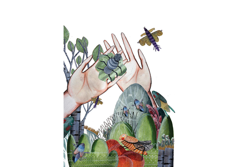 Koray Avcı Çakman’dan Yeni Bir Çocuk Romanı