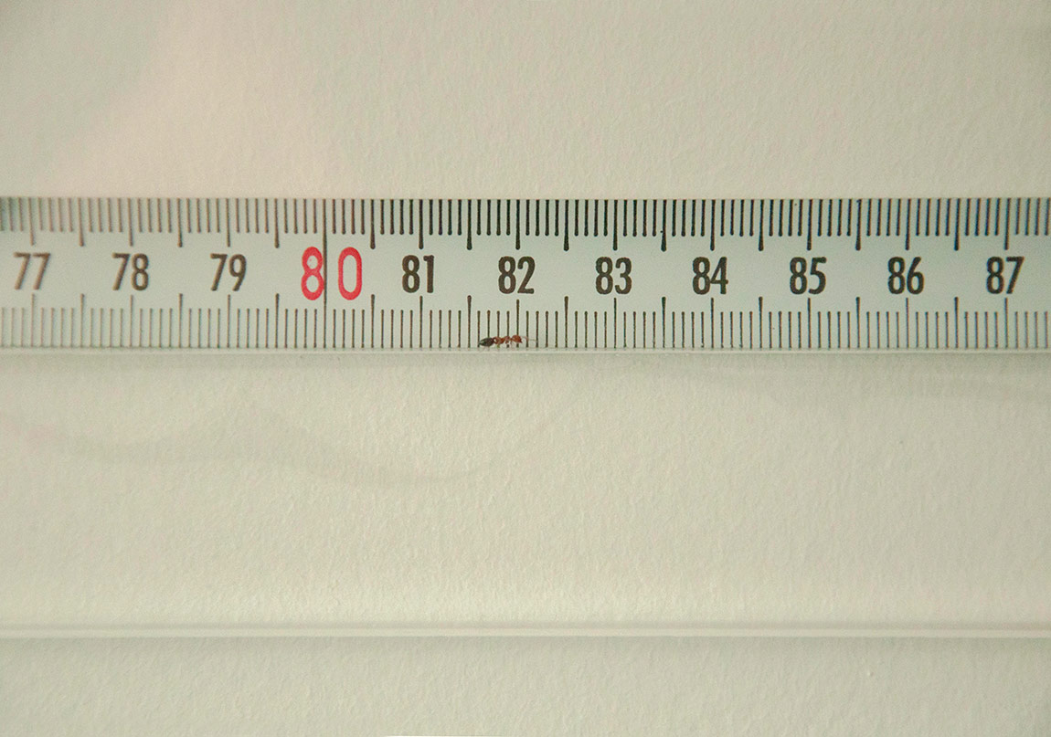 Beş Ayrı Odada Beş Sanatçı